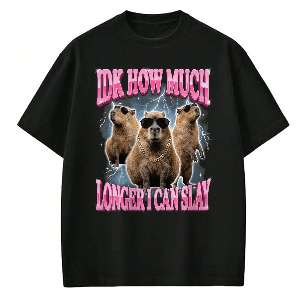 Cute Capybara Shirt, Funny Capybara Unisex T-Shirt/Hoodie/Sweatshirt HLT00 - IDK How Much Longer I Can Slay T-Shirt