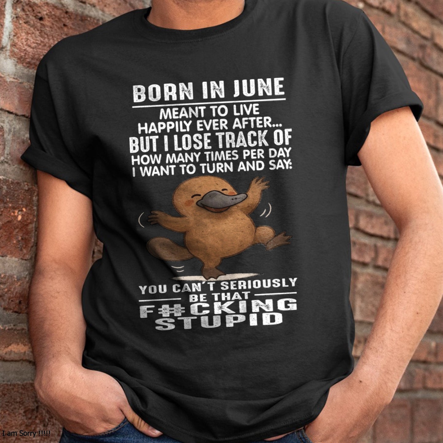 BORN IN JUNE MEANT TO LIVE HAPPILY EVER AFTER… MALE FMA (SKU09-56-06)