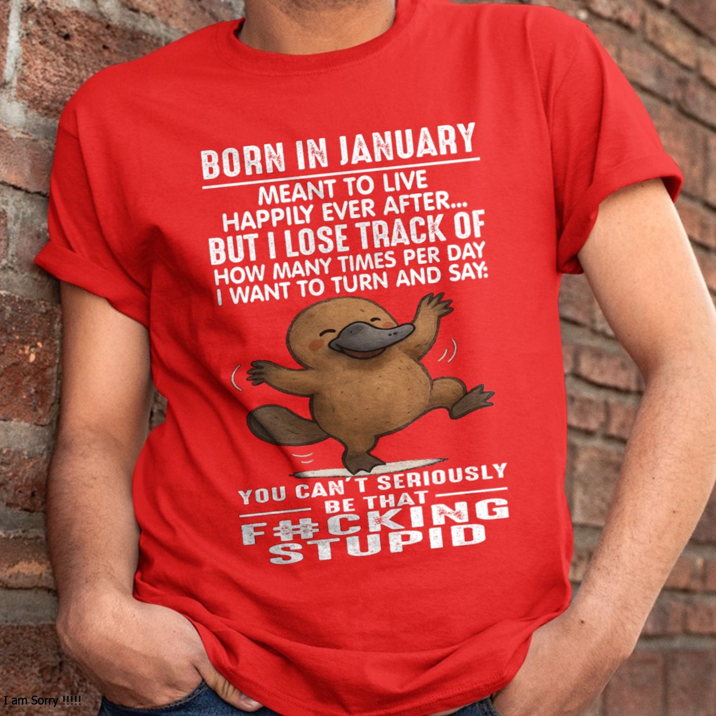 BORN IN JANUARY, MEANT TO LIVE HAPPILY EVER AFTER… MALE FMA (SKU09-56-01)