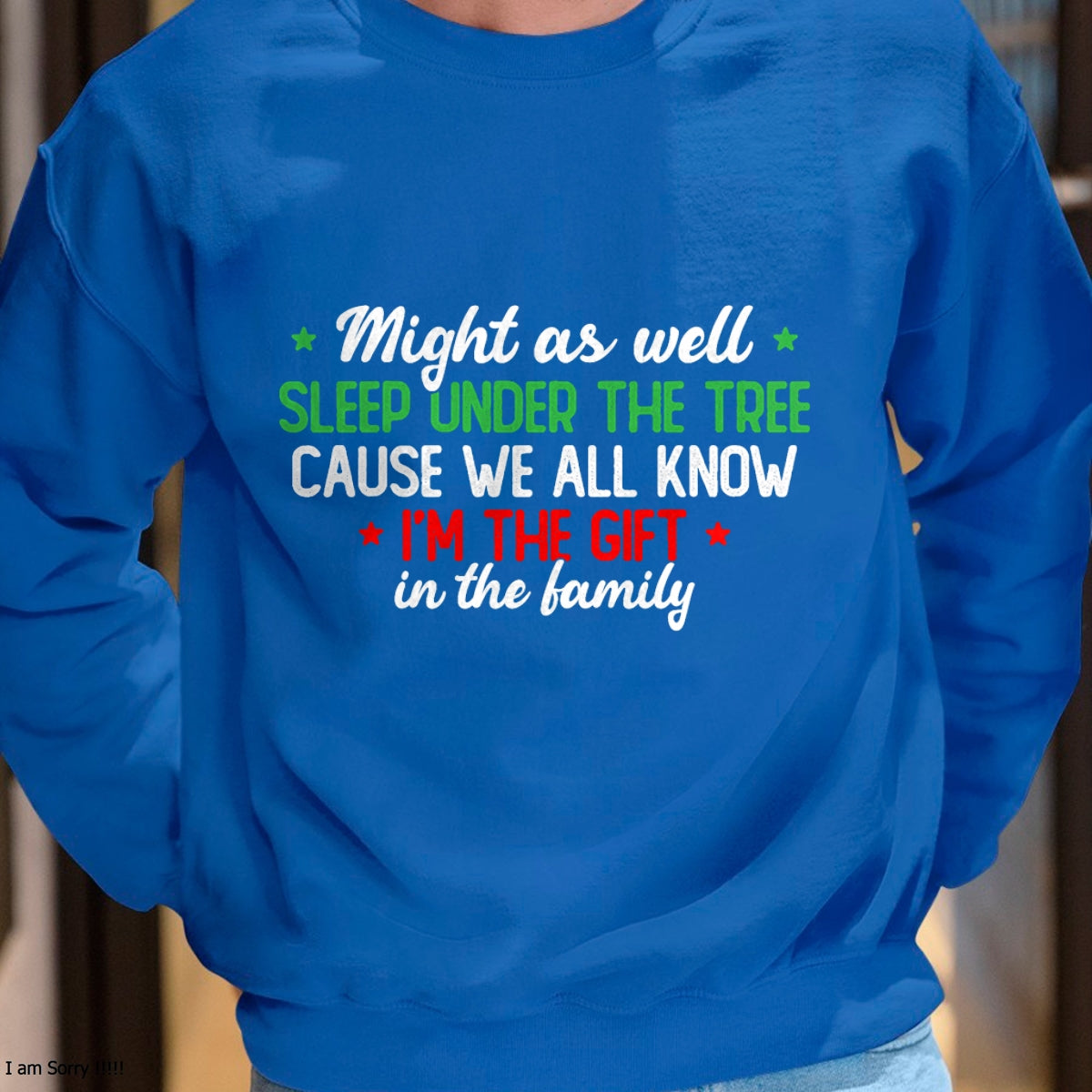 Christmas Shirts for Family, Funny christmas shirts, Christmas Unisex T-Shirt/Hoodie/Sweatshirt HLT00 - Christmas Humor Men Women Favorite Person Funny Christmas T-Shirt
