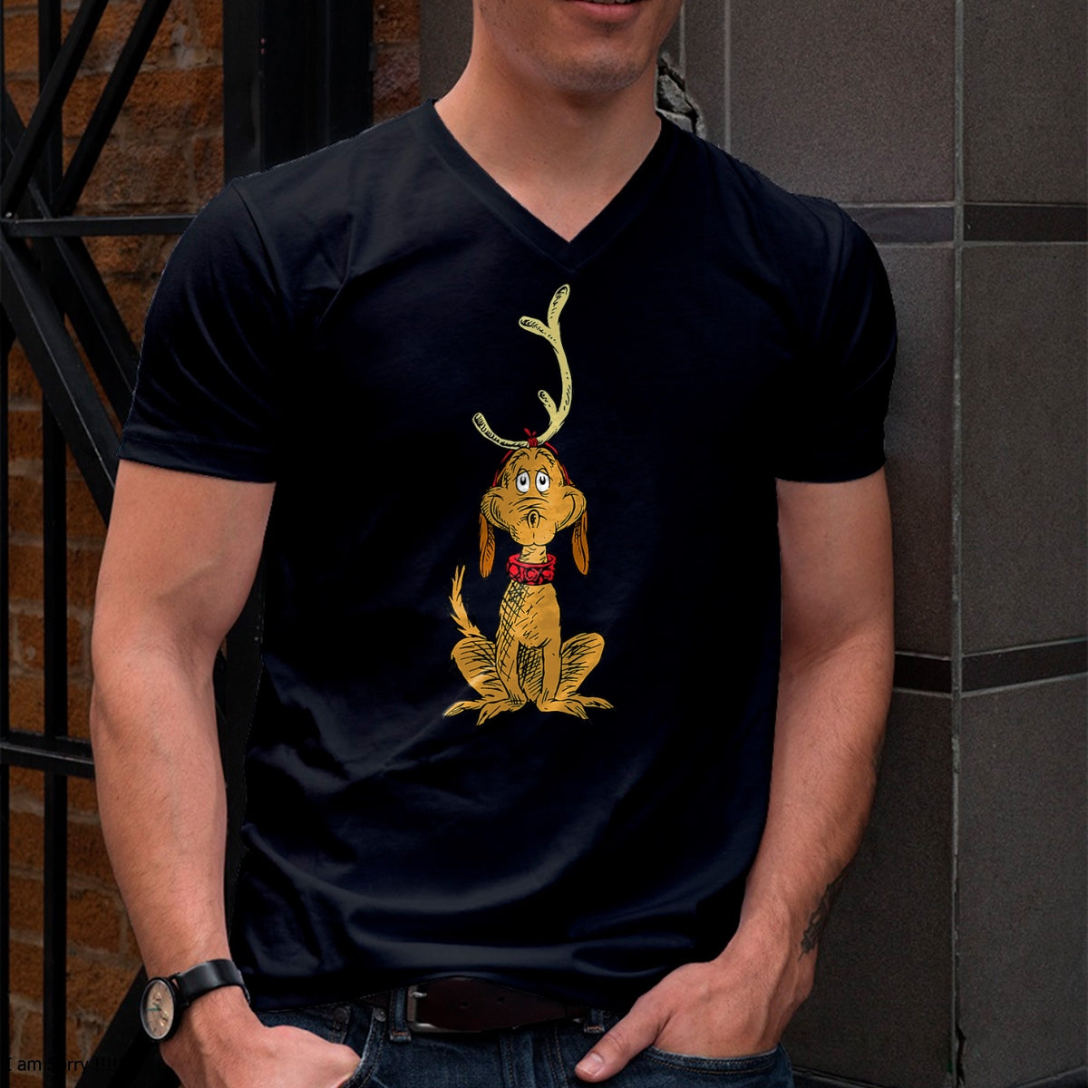 Christmas Shirts for Family, Funny christmas shirts, Christmas Unisex T-Shirt/Hoodie/Sweatshirt HLT00 - Dr. Seuss mens Classic Dr Seuss Reindeer Max T shirt, Black, Small US