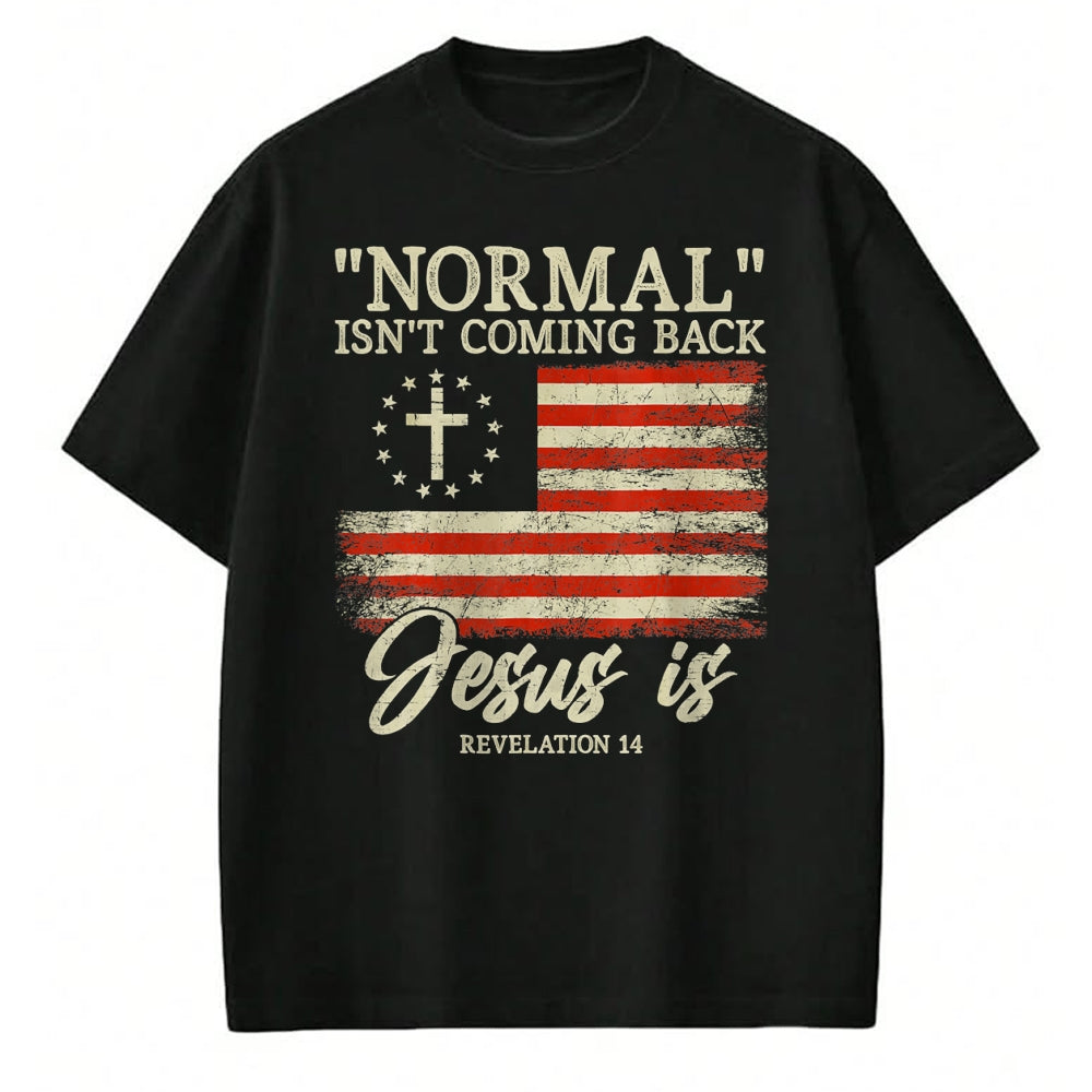 Christian Tee, Christian Faith Unisex T-Shirt/Hoodie/Sweatshirt HLT00 - Christian Normal Isn_t Coming Back Jesus Is Gift T-Shirt