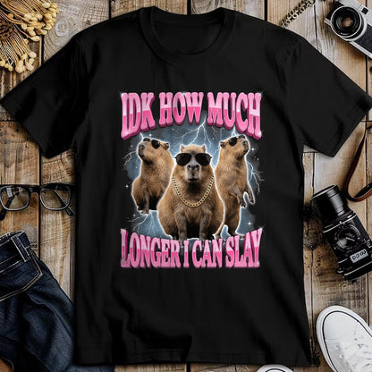 Cute Capybara Shirt, Funny Capybara Unisex T-Shirt/Hoodie/Sweatshirt HLT00 - IDK How Much Longer I Can Slay T-Shirt