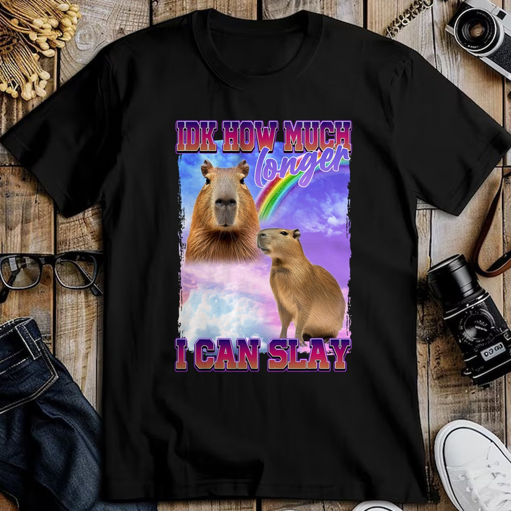 Cute Capybara Shirt, Funny Capybara Unisex T-Shirt/Hoodie/Sweatshirt HLT00 - IDK How Much Longer I Can Slay Capybara T-Shirt
