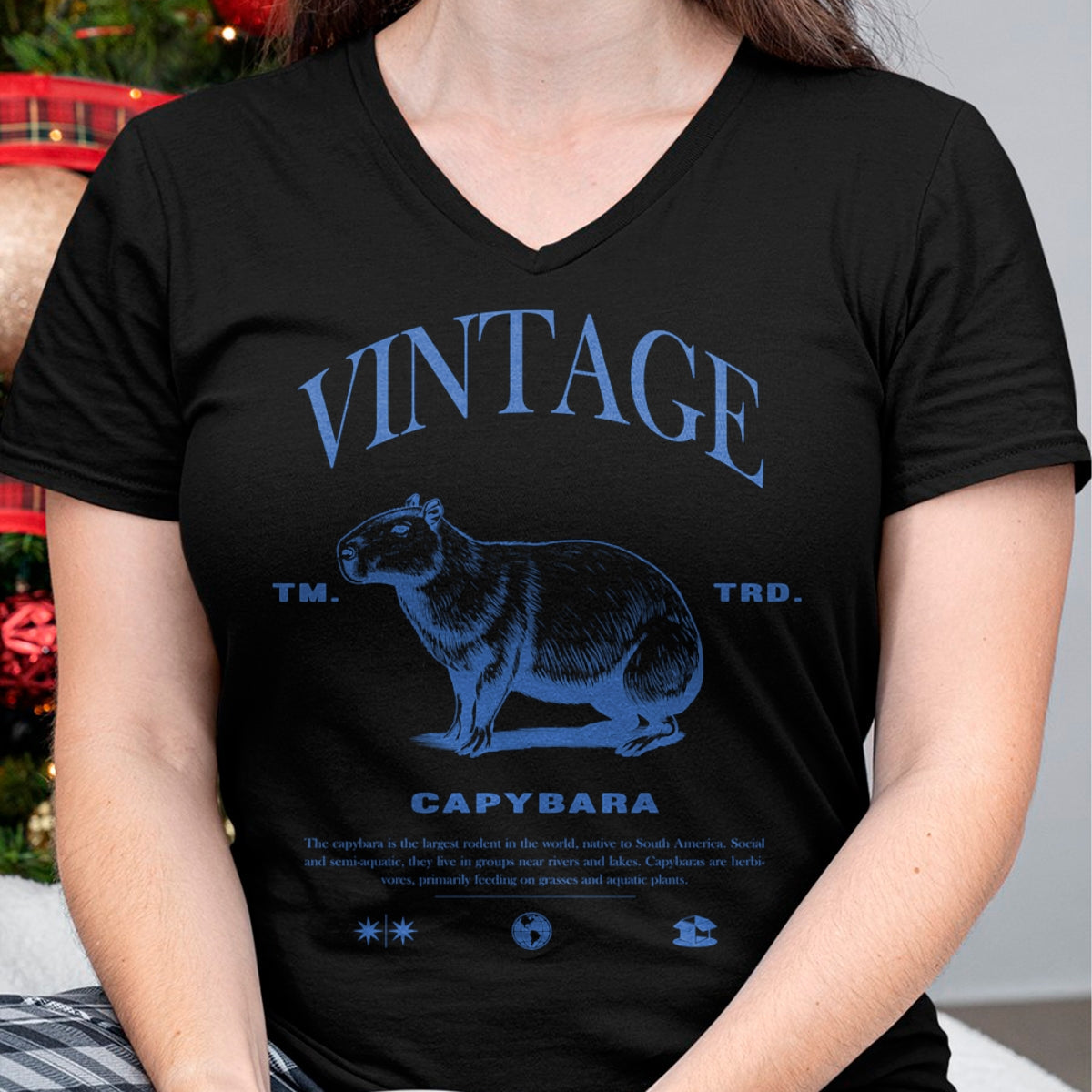 Cute Capybara Shirt, Funny Capybara Unisex T-Shirt/Hoodie/Sweatshirt HLT00 - Capybara Vintage Long Sleeve T-Shirt