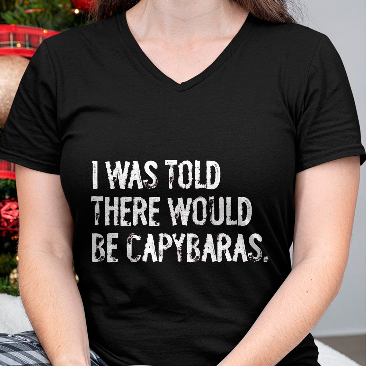 Cute Capybara Shirt, Funny Capybara Unisex T-Shirt/Hoodie/Sweatshirt HLT00 - I was Told There Would Be Capybaras T-Shirt, Men, Black, 3X-Large