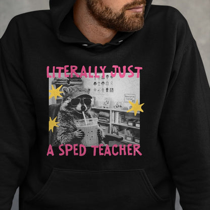 Best Teacher Shirt, Funny Teacher UnisexT-Shirt/Hoodie/Sweatshirt HLT00 - Literally Just A Sped Teacher Raccoon T-Shirt