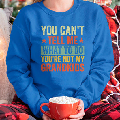 Best Grandpa Shirt, Proud Grandpa Unisex T-Shirt/Hoodie/Sweatshirt HLT00 - You can't Tell me what to do You're not my Grandkids T-Shirt
