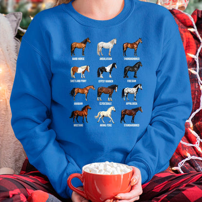 Best Horse Lover Shirt , Funny Horse UnisexT-Shirt/Hoodie/Sweatshirt HLT00 - Types of Horses Educational Horse Breeds Boys Girls Kids T-Shirt