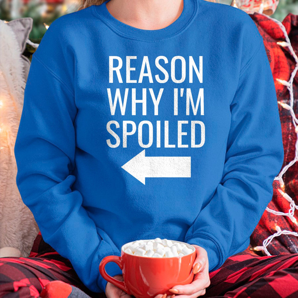 Best Wife Shirt, Wife and Husband Unisex T-Shirt/Hoodie/Sweatshirt HLT00 - Reason Why I'm Broke Spoiled Funny Matching Couples T-Shirt