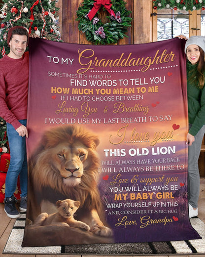 Special Gift For Your Granddaughter Blanket - From Grandpa (SKUB11-83)