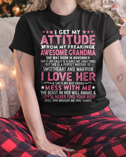 I GET MY ATTITUDE FROM MY GRANDMA NOVEMBER EDITION – FROM GRANDMA TO GRANDDAUGHTER NTTD11 (SKU07-163-11)