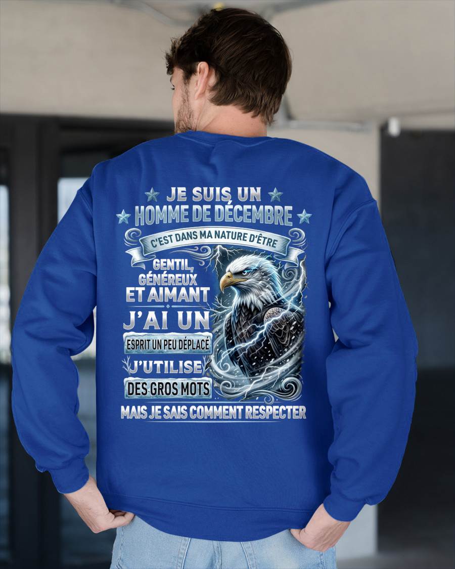 DÉCEMBRE – ESPRIT MALICIEUX MAIS SAIT RESPECTER - T-SHIRT ANNIVERSAIRE HOMME - IMPRESSION DTG PREMIUM - frCCDI12 (SKU2604-86-12)